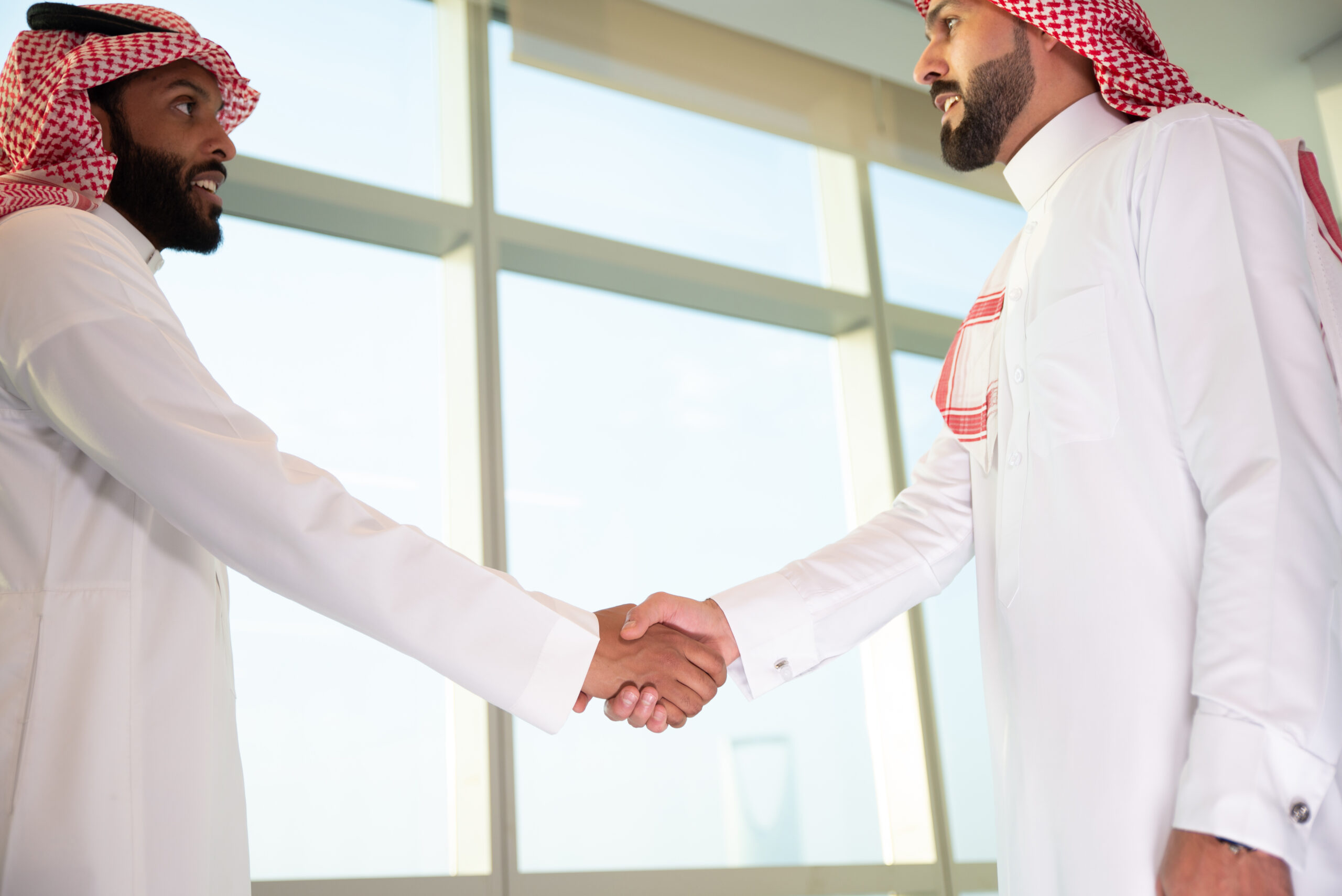 Collaboration and Partnerships