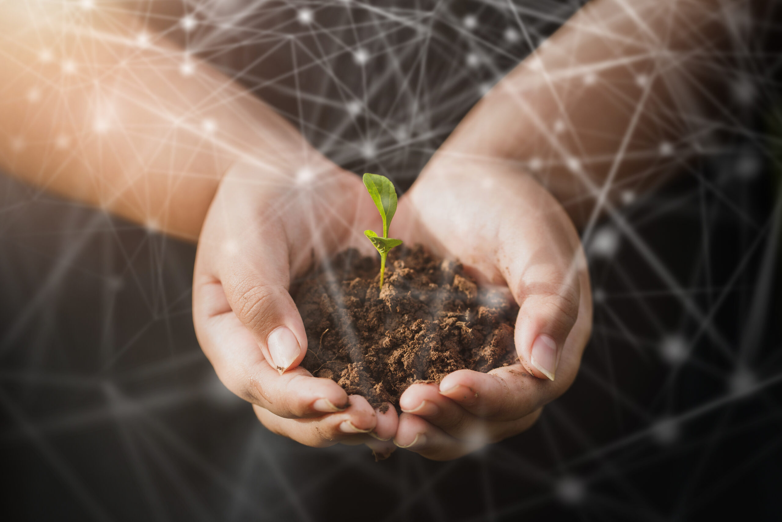 Impact360 Practitioner - CSR